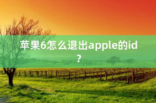 苹果6怎么退出apple的id？