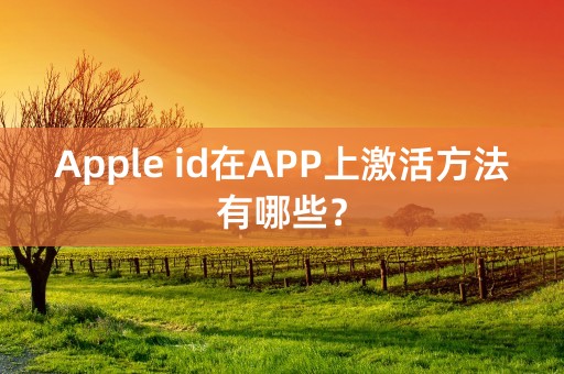 Apple id在APP上激活方法有哪些？