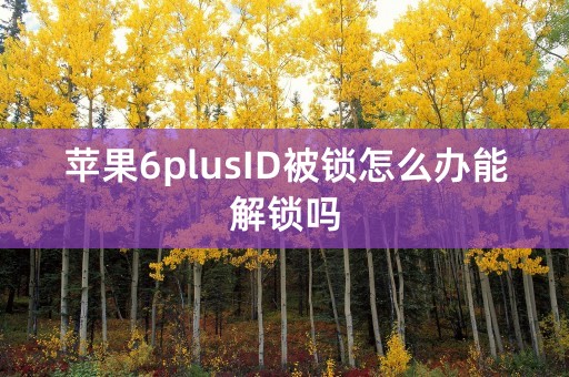 苹果6plusID被锁怎么办能解锁吗