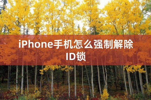 iPhone手机怎么强制解除ID锁