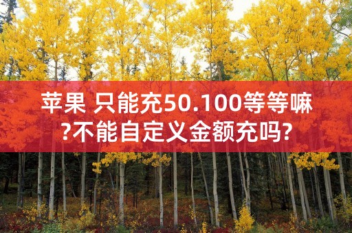 苹果 只能充50.100等等嘛?不能自定义金额充吗?