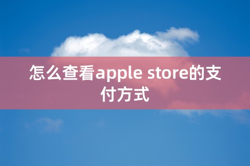 怎么查看apple store的支付方式