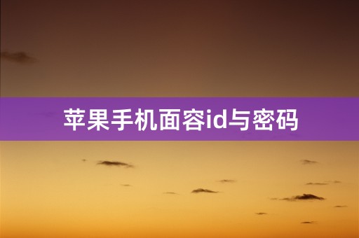 苹果手机面容id与密码