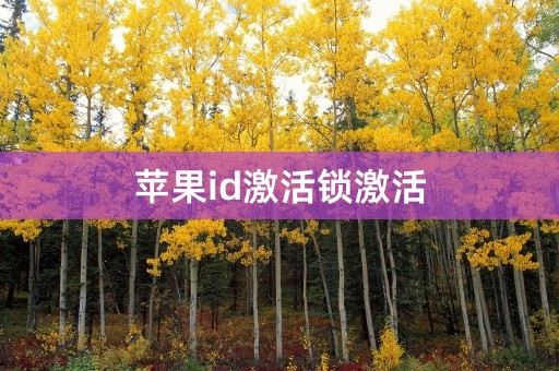 苹果id激活锁激活