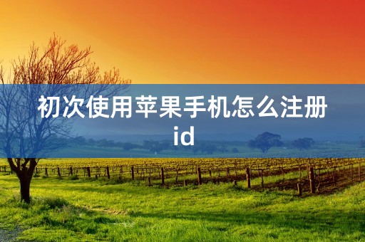 初次使用苹果手机怎么注册id