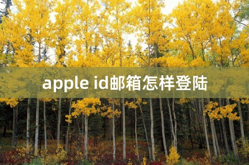 apple id邮箱怎样登陆