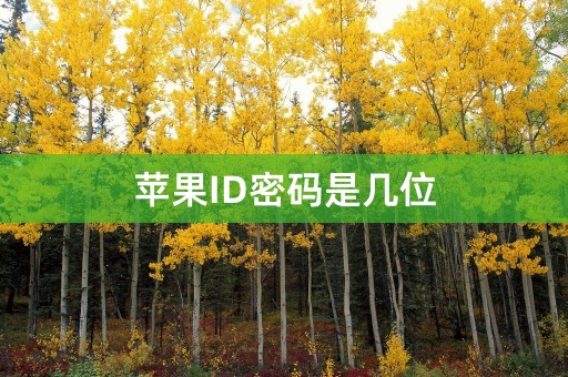 苹果ID密码是几位