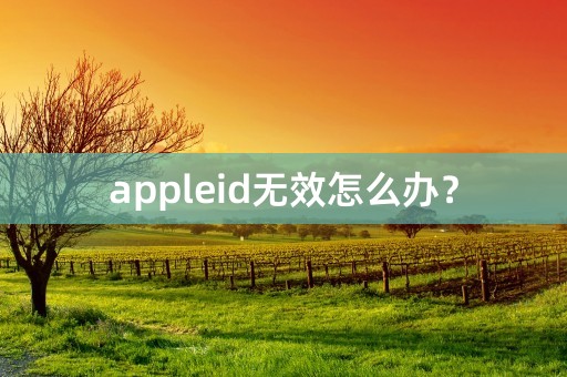 appleid无效怎么办？