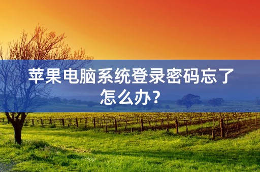 苹果电脑系统登录密码忘了怎么办？