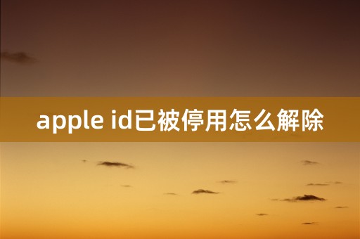 apple id已被停用怎么解除