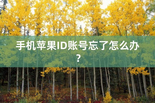 手机苹果ID账号忘了怎么办？