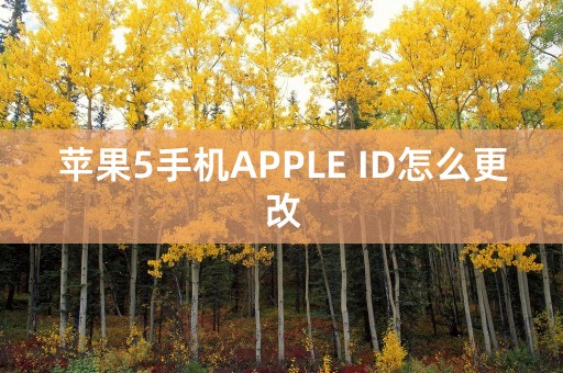 苹果5手机APPLE ID怎么更改