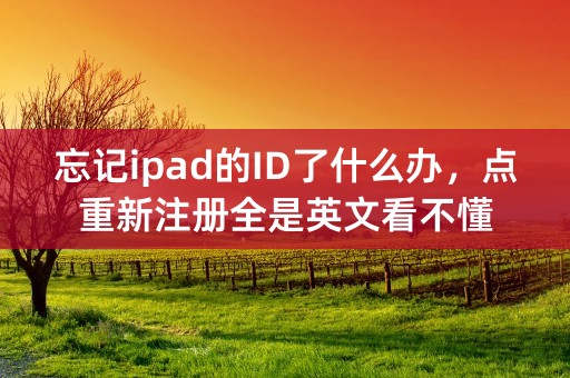 忘记ipad的ID了什么办，点重新注册全是英文看不懂