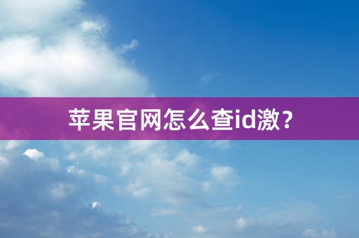 苹果官网怎么查id激？