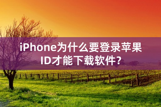 iPhone为什么要登录苹果ID才能下载软件？