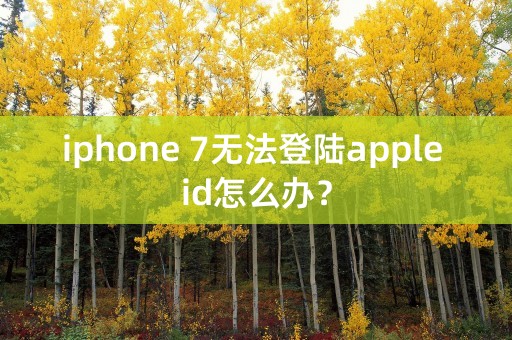 iphone 7无法登陆apple id怎么办？