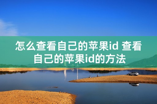 怎么查看自己的苹果id 查看自己的苹果id的方法