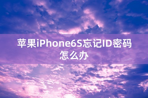 苹果iPhone6S忘记ID密码怎么办