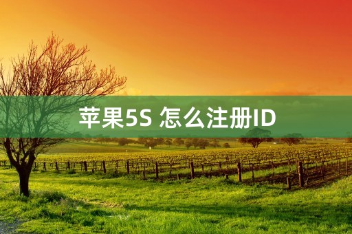 苹果5S 怎么注册ID