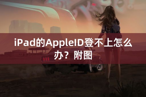 iPad的AppleID登不上怎么办？附图