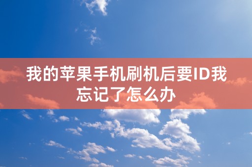 我的苹果手机刷机后要ID我忘记了怎么办