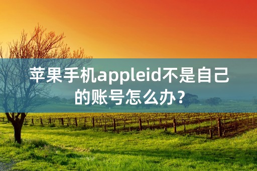 苹果手机appleid不是自己的账号怎么办？