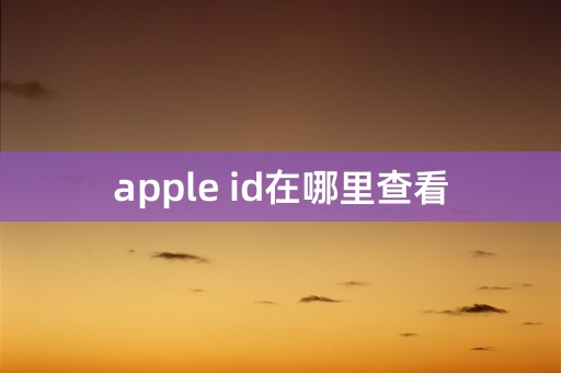 apple id在哪里查看