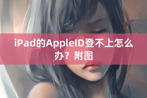 iPad的AppleID登不上怎么办？附图