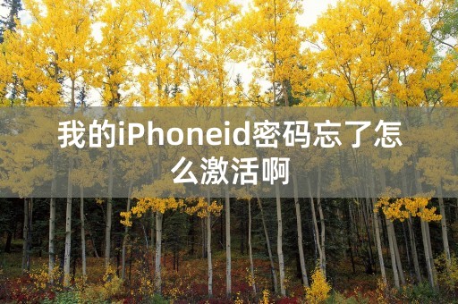 我的iPhoneid密码忘了怎么激活啊