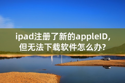 ipad注册了新的appleID,但无法下载软件怎么办?