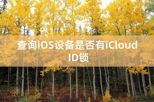 查询iOS设备是否有iCloud ID锁