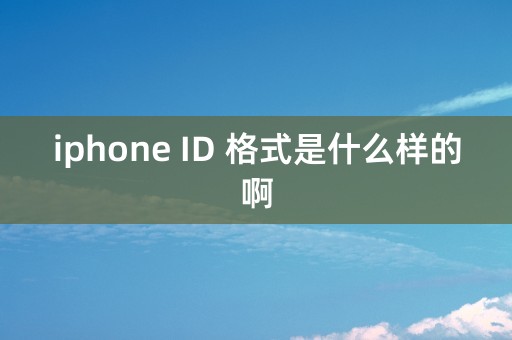 iphone ID 格式是什么样的啊