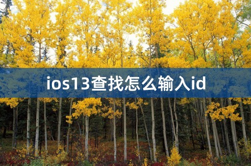 ios13查找怎么输入id