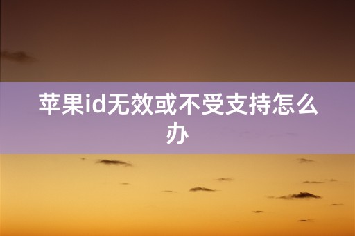 苹果id无效或不受支持怎么办