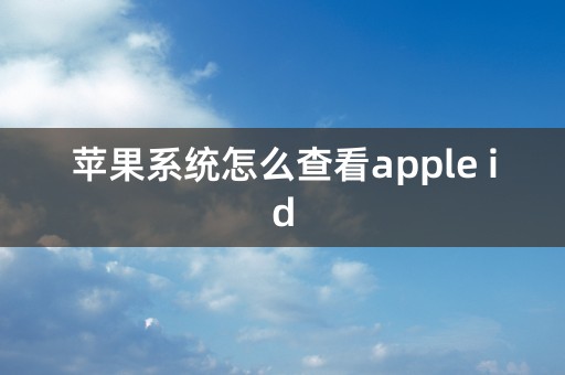 苹果系统怎么查看apple id