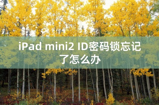 iPad mini2 ID密码锁忘记了怎么办