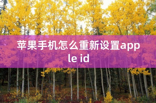 苹果手机怎么重新设置apple id