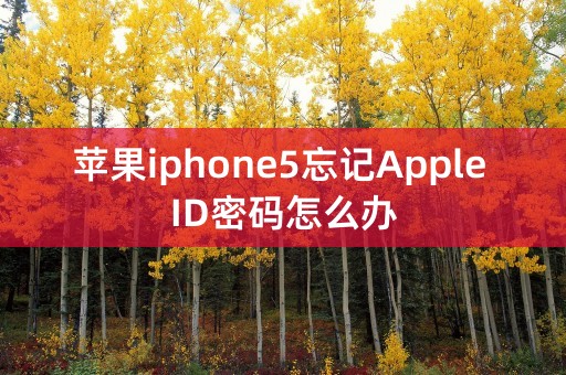 苹果iphone5忘记Apple ID密码怎么办