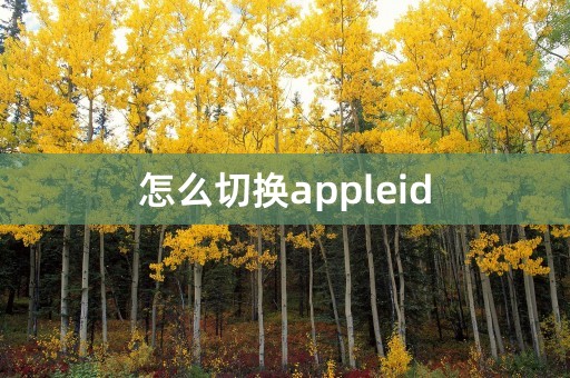 怎么切换appleid