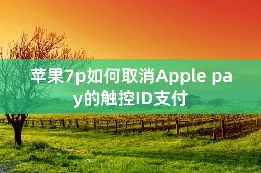 苹果7p如何取消Apple pay的触控ID支付