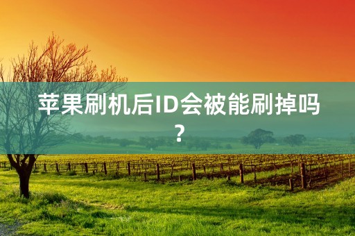 苹果刷机后ID会被能刷掉吗？