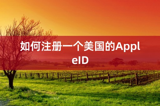 如何注册一个美国的AppleID