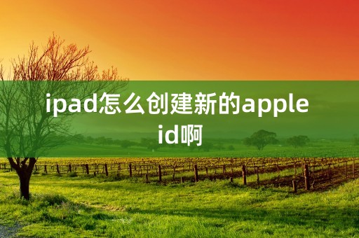 ipad怎么创建新的apple id啊