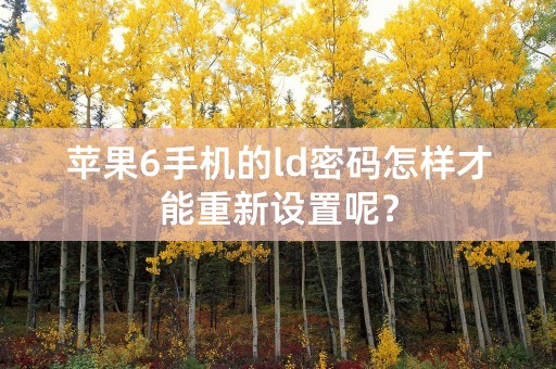 苹果6手机的ld密码怎样才能重新设置呢？