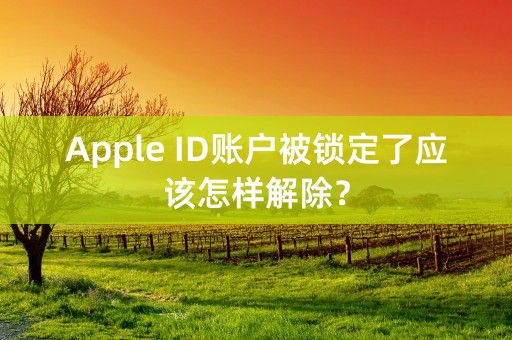 Apple ID账户被锁定了应该怎样解除？