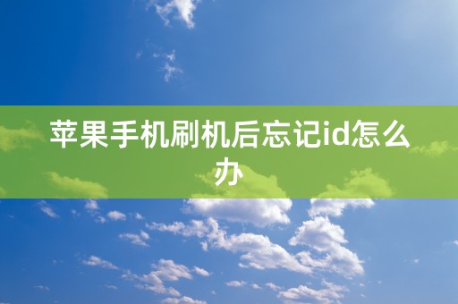 苹果手机刷机后忘记id怎么办