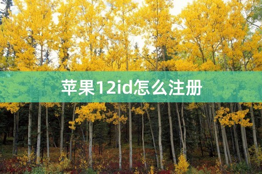 苹果12id怎么注册