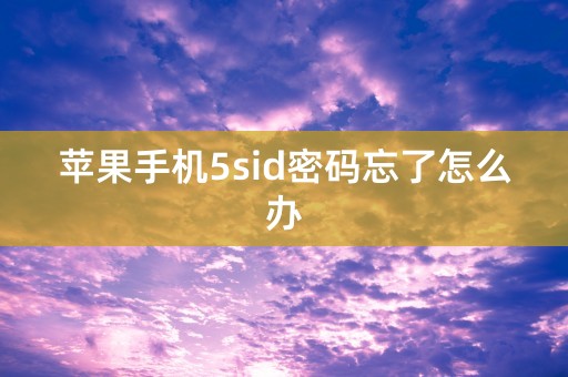 苹果手机5sid密码忘了怎么办