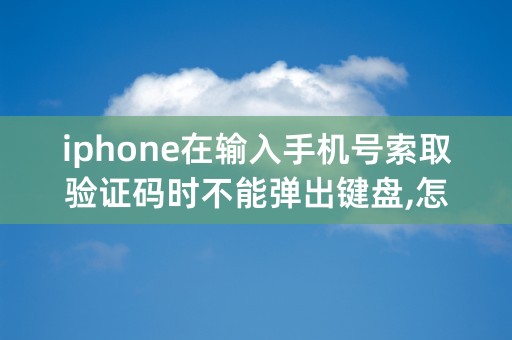 iphone在输入手机号索取验证码时不能弹出键盘,怎么办?