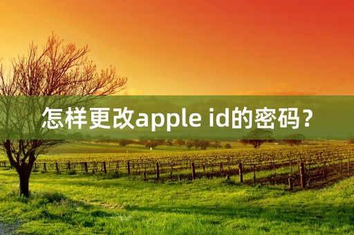 怎样更改apple id的密码？